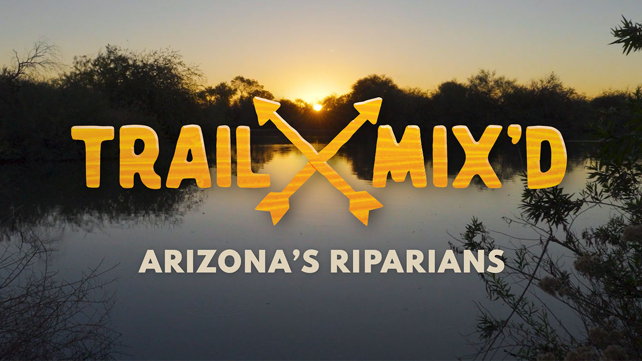 Trail Mix'd Arizona Riparians