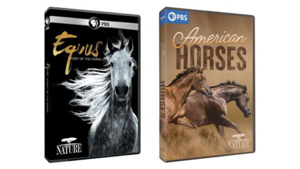 America's Wild Horses 2 DVDs