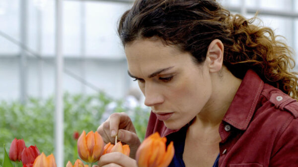 A woman investiagting a flower