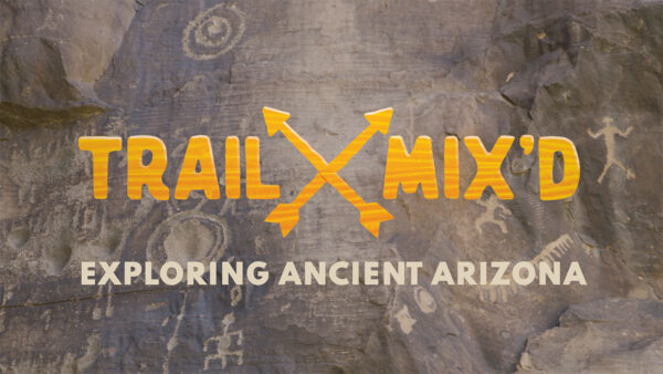 Trail Mix'd Petroglyph Hikes in Arizona: Exploring Ancient Arizona featuring a stone with Petroglyphs