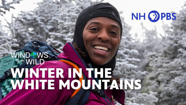 A hiker in the snow