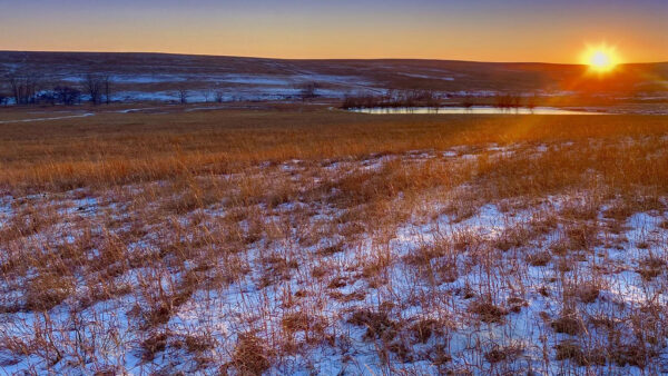 A snowy landscape