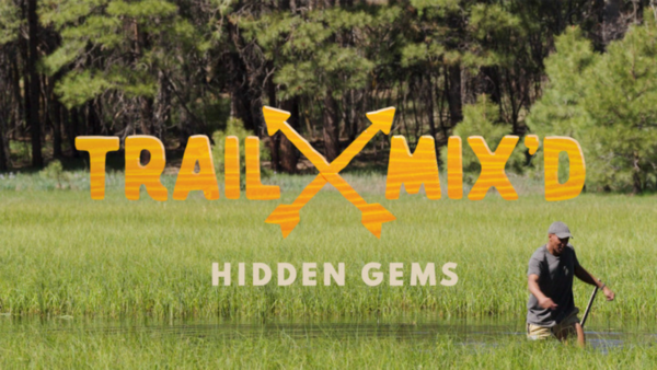 Trail Mix'd: Hidden Gems, a picture of a man wading through swamp grass