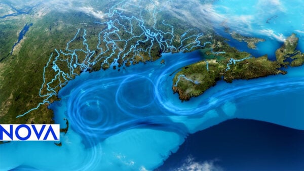 A map emphasizing key locations and geographical details.