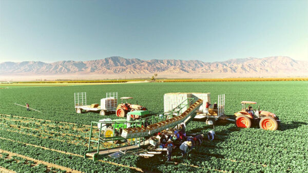 Several individuals standing near a tractor in a field.