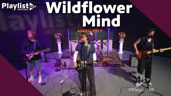 Wildflower mind performing on Playlist 48