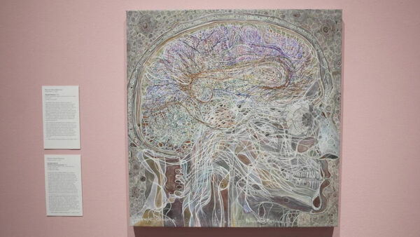An art piece showing a map of the mind
