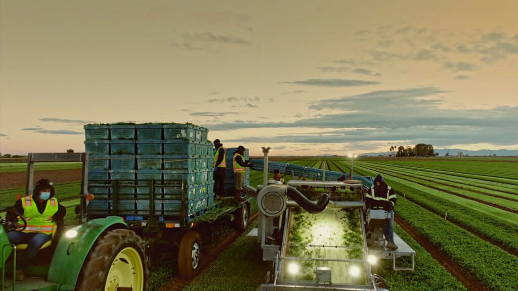 Workers working on a large patch of land