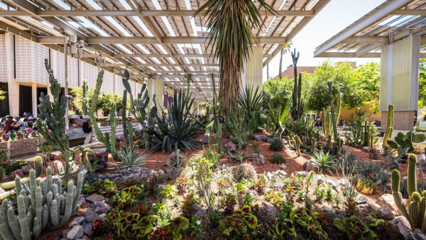Plants growing in a greenhouse