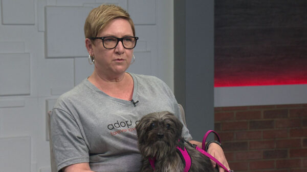 Luisa Chocron, the Executive Director and founder of Forever Loved Pet Sanctuary