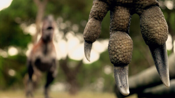 A dinosaurs claw