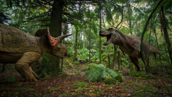 Two dinosaurs in a forest