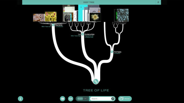 Evolution Lab Game