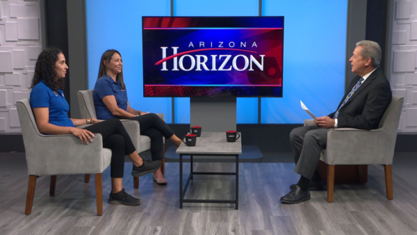 Jamie Nesbit, PT, DPT, Assistant Professor of Physical Therapy, Creighton University Health Sciences Suzanne O’Neal, PT, DPT, Associate Professor of Physical Therapy, Midwestern University College of Health Sciences