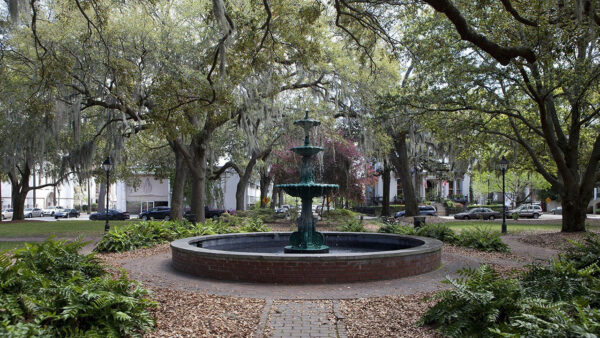 A park surrounded by trees with a water fountain in the middle