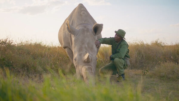 A man petting a rhinoceros