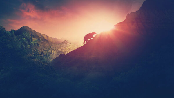 A small mammal climbs up a hill with the sunset in the background