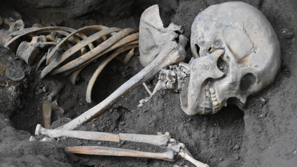 An old skeleton of a human from hundreds of years ago