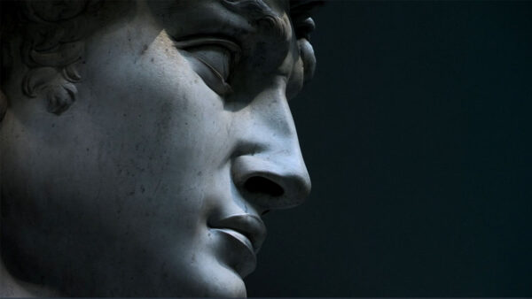 A close up of the statue of David