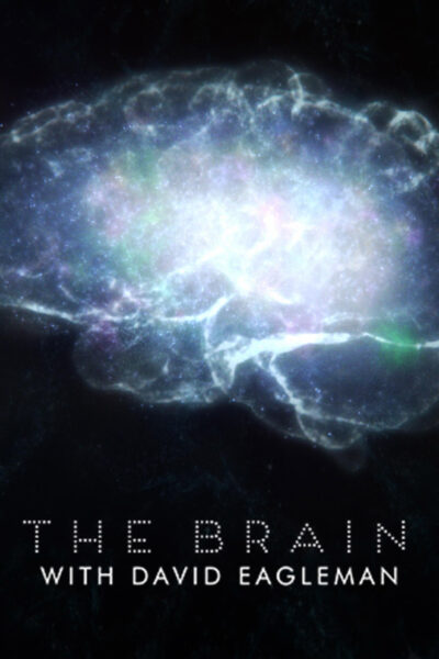 Poster for The Brain with David Eagleman