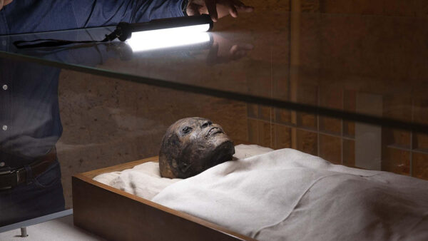 An archeologist shining a light on King Tut's mummy