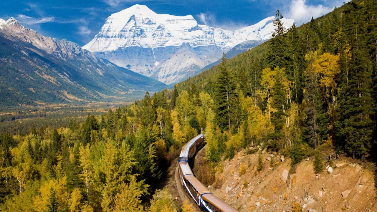 A train traveling through a mountain filled with trees