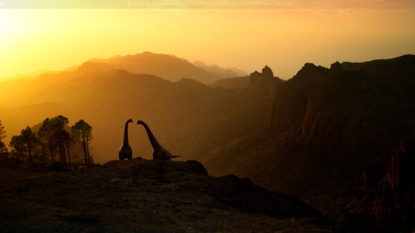 Two dinosaurs in front of a beautiful sunset