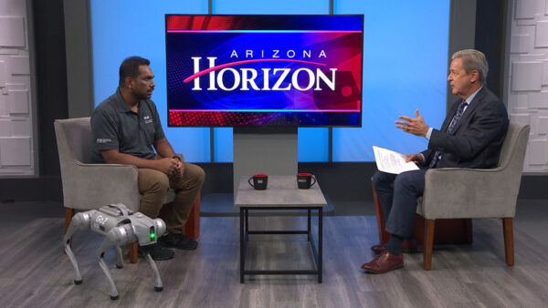 Ransalu Senanayake/Assistant Professor, Ira A. Fulton Schools of Engineering