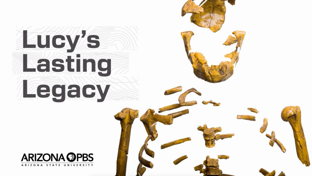 A view of the skeleton of Lucy with text reading: Lucy's Lasting Legacy