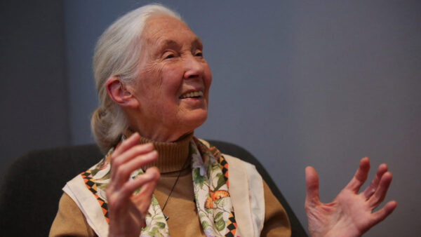 Jane Goodall