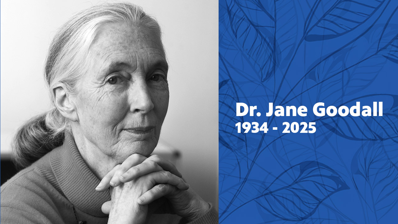 Honoring the life and legacy of Dr. Jane Goodall