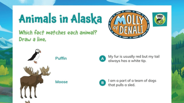Molly of Denali worksheet