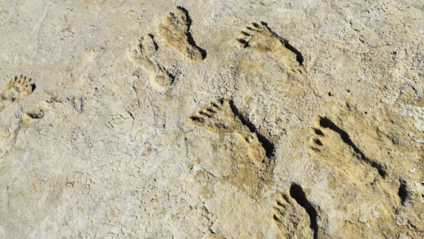 Footprints from the Ice Age