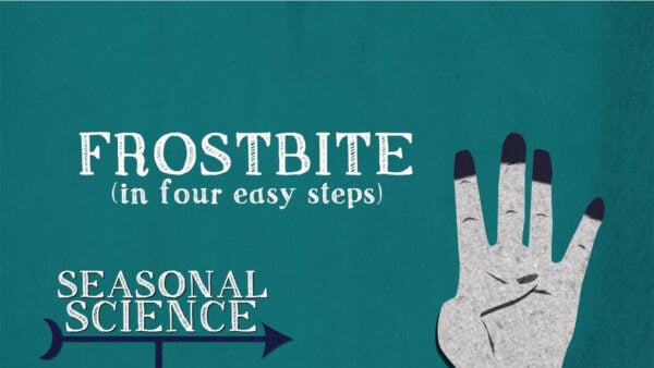 A hand holds a sign reading "Frostbite in Four Easy Steps