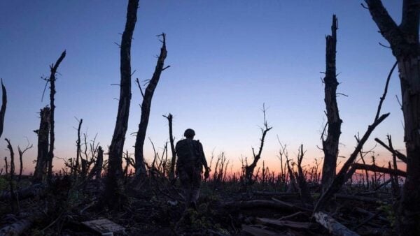 Soldier walking through a barren forest