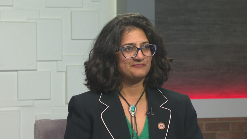 Democratic Minority Leader Priya Sundareshan