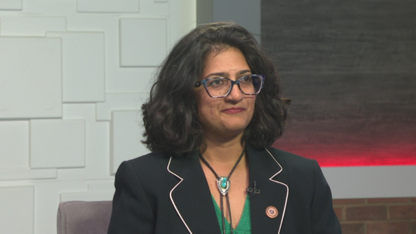 Democratic Minority Leader Priya Sundareshan