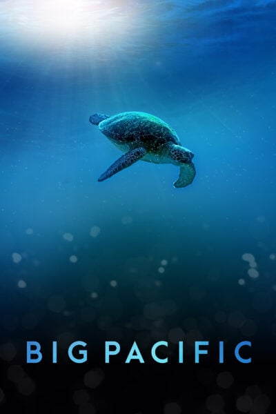 Poster for "Big Pacific" with a sea turtle swimming through the ocean