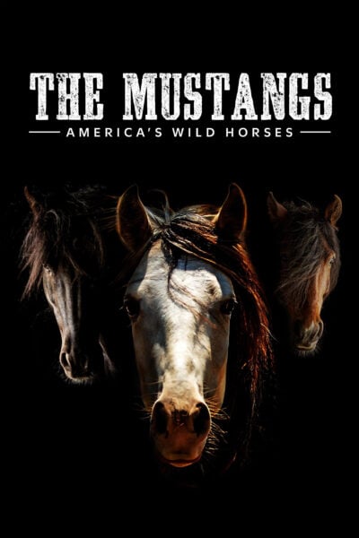 Poster for "The Mustangs: America's Wild Horses" with three majestic horses