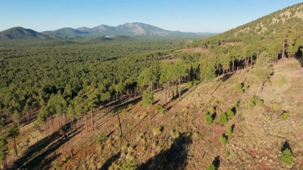 A view of Humphreys Peak Trail