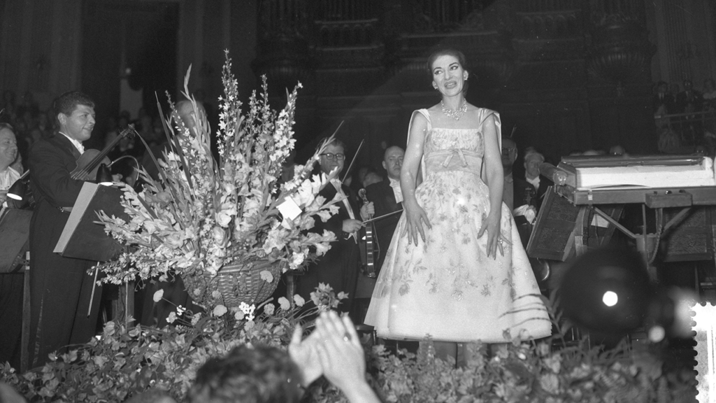 A photo of a woman in a dress, standing in front of an orchestra