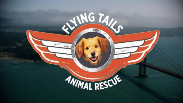 The cover for the flying tails animal rescue episode