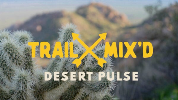 An Arizona landscape with mountains, cactus and text reading: Trail Mix'd: Desert Pulse