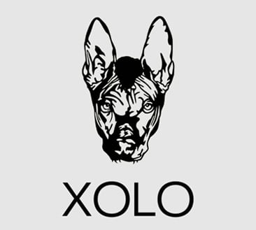 "XOLO" logo
