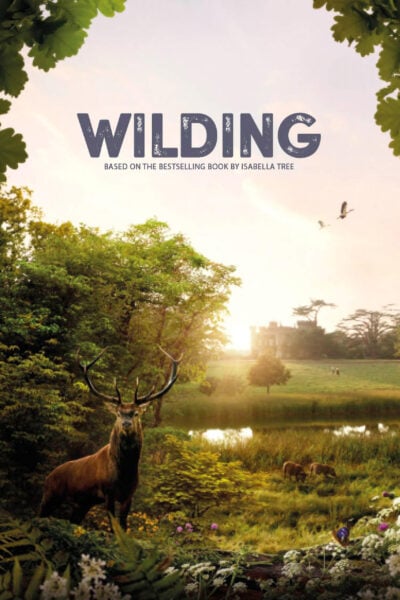 Wilding poster