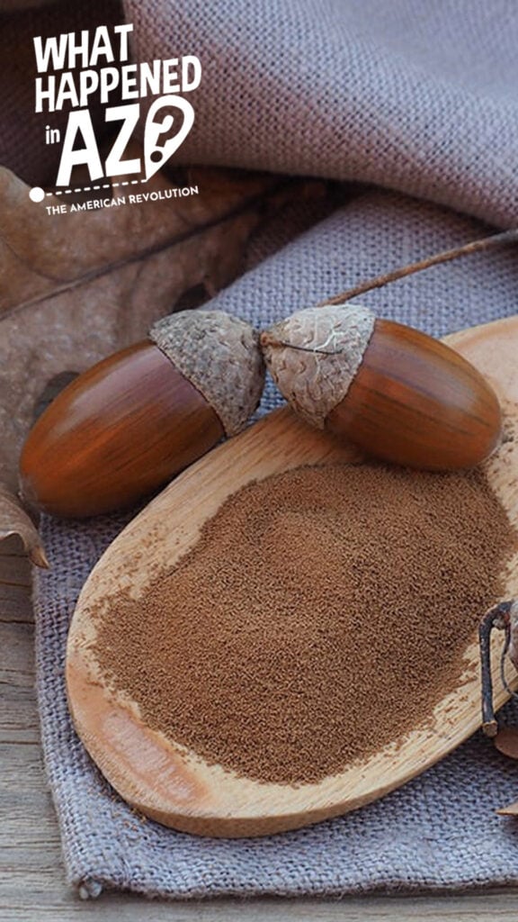 Acorn powder resting on a wooden spoon