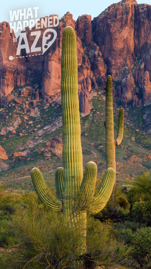 The Superstition Mountains