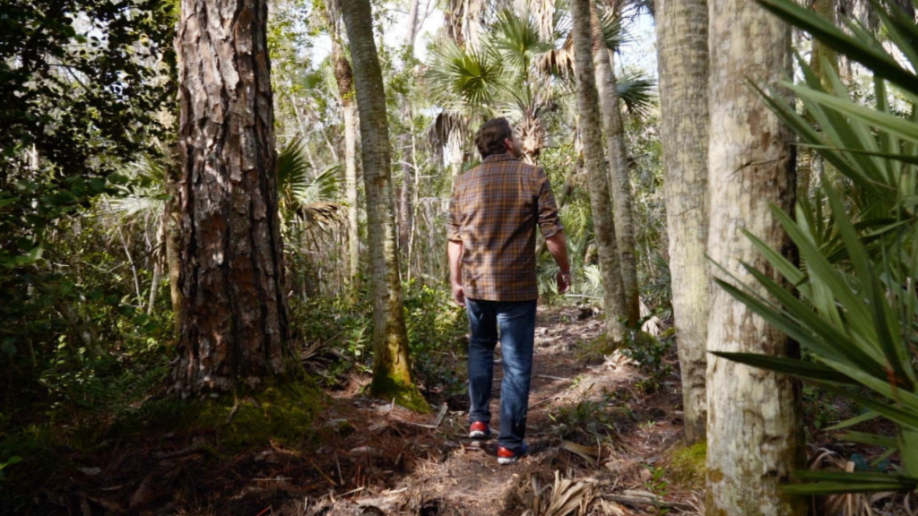 A man walking in the woods