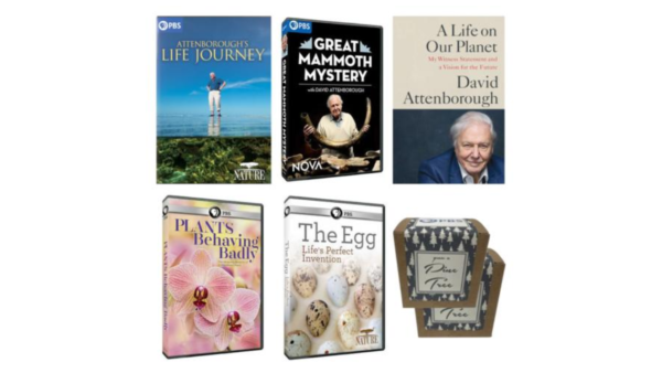 NATURE - Attenboroughs Life Journey - 4 DVDs + PBK + 2 Planter Sets
