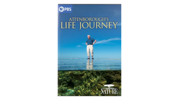 NATURE - Attenboroughs Life Journey